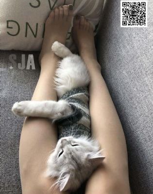 周末同床在线播放