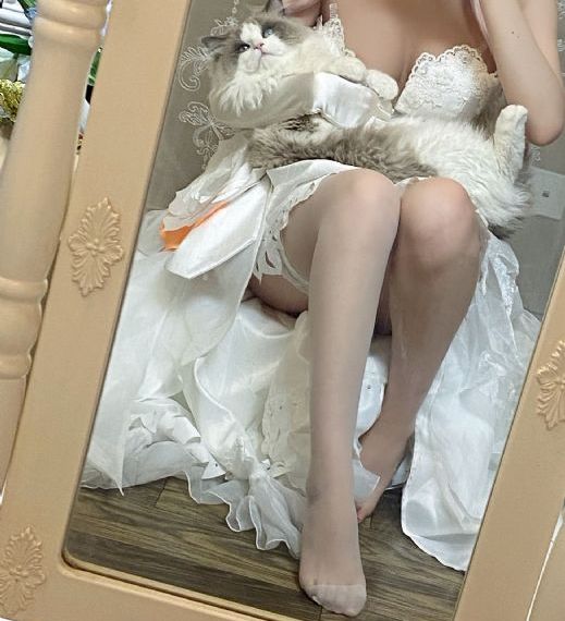 莲花楼电视剧免费观看完整版首播