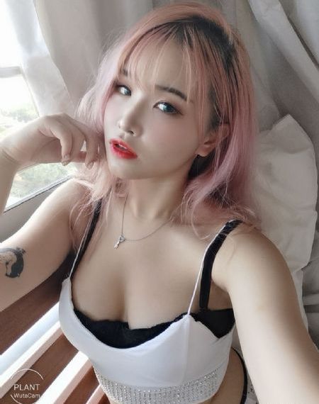 云之羽电视剧免费播放