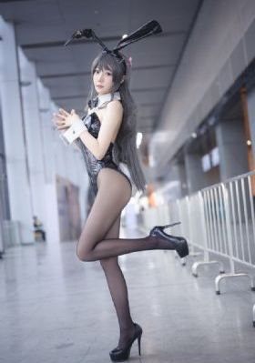 汪汪队第七季免费观看全集中文版
