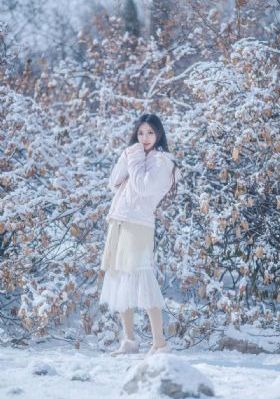 无颜之月1-5