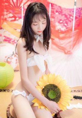 沧元图第二季免费观看